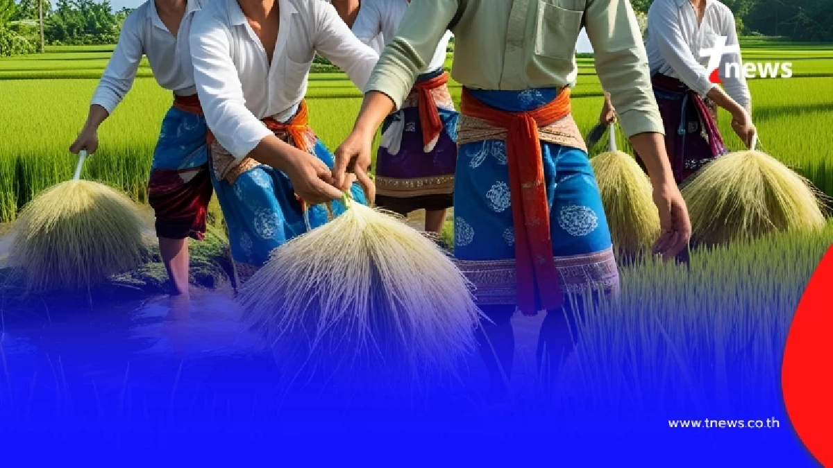 ไฟเขียว "4 มาตรการช่วยข้าวนา" ปี68/69 วงเงิน 5 หมื่นล้าน