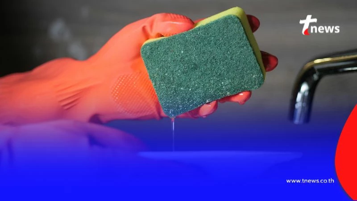 เปิด 7 ของใช้ในครัว ที่หลายคนมองข้ามทนใช้และไม่ค่อยเปลี่ยน