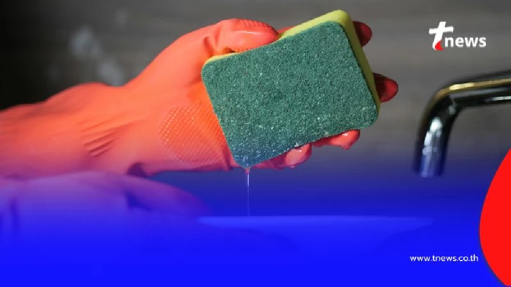 เปิด 7 ของใช้ในครัว ที่หลายคนมองข้ามทนใช้และไม่ค่อยเปลี่ยน