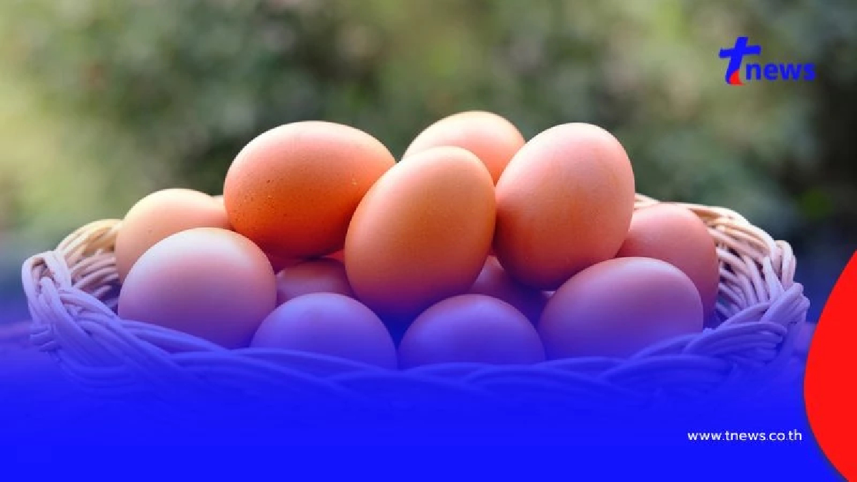 รู้ก่อนทิ้ง ไข่ไก่เก็บได้นานแค่ไหน? พร้อมวิธีสังเกตไข่เสีย