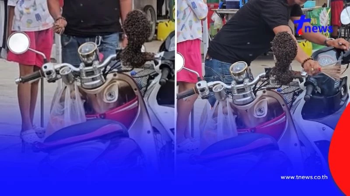 ฮือฮา แห่ส่องเลขทะเบียน จยย. จอดรถแป๊บเดียว ผึ้งมาเกาะทำรัง