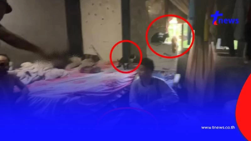 จับหนุ่มสระแก้ว ขายยาบ้า หาเงินเลี้ยงหมา-แมว กว่า 30 ชีวิต