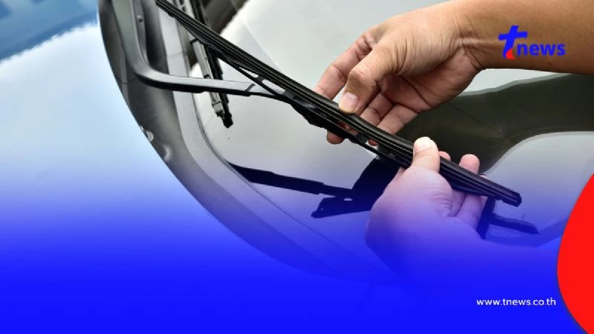 ที่ปัดน้ำฝนควรเปลี่ยนแบบไหนถึงจะคุ้มที่สุด เปลี่ยนแค่ยางหรือทั้งก้าน?