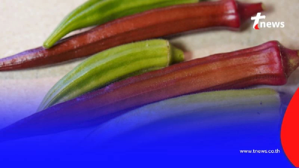 กระเจี๊ยบมีประโยชน์อยู่มาก คนกลุ่มไหนบ้าง ไม่ควรกินกระเจี๊ยบ