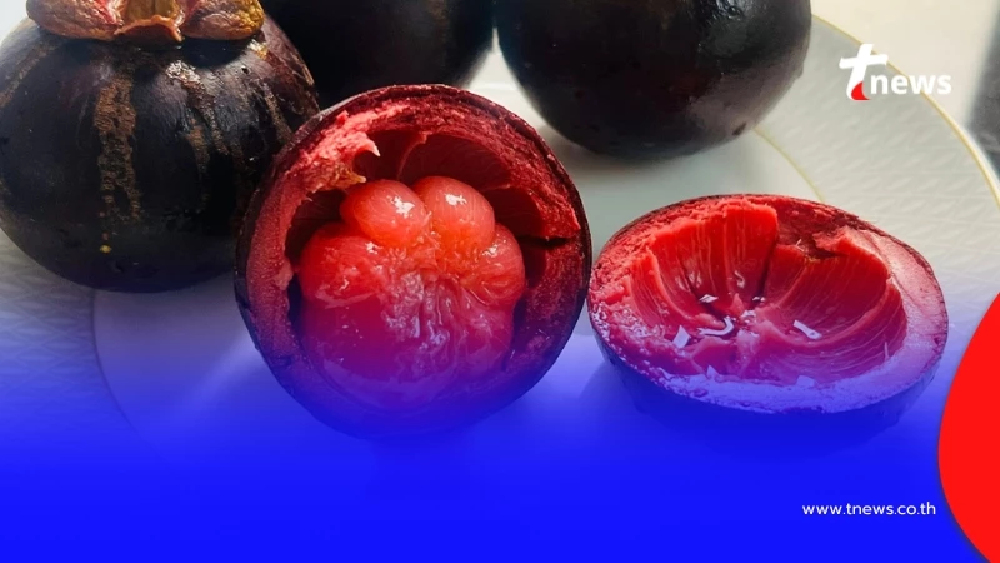 สาวทดลอง เอา "มังคุด" เข้าหม้อทอดไร้น้ำมัน ผลที่ได้ เกินคาดไปมาก