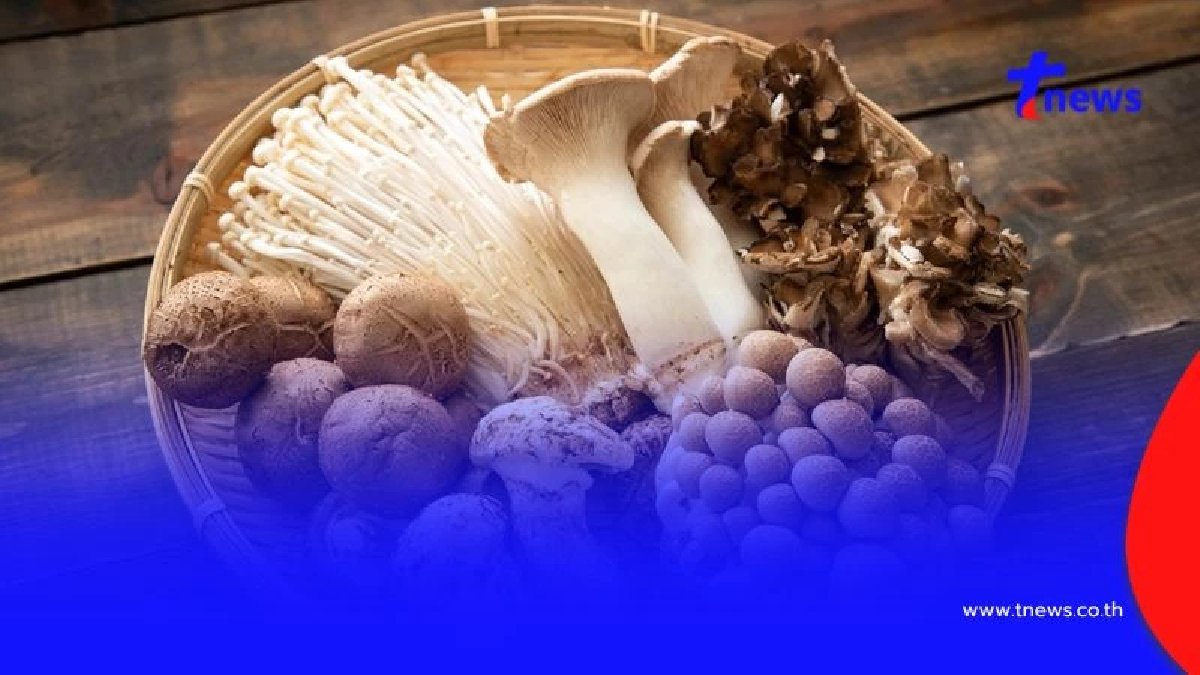 5 กลุ่มเสี่ยงห้ามกินเห็ด เสี่ยงอันตรายต่อร่างกายโดยไม่รู้ตัว