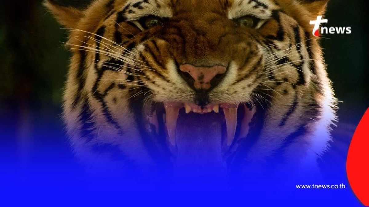 เปิดความเชื่อ วิธีพกเครื่องราง ฉบับสายมู มีอะไรบ้าง มีคำตอบ