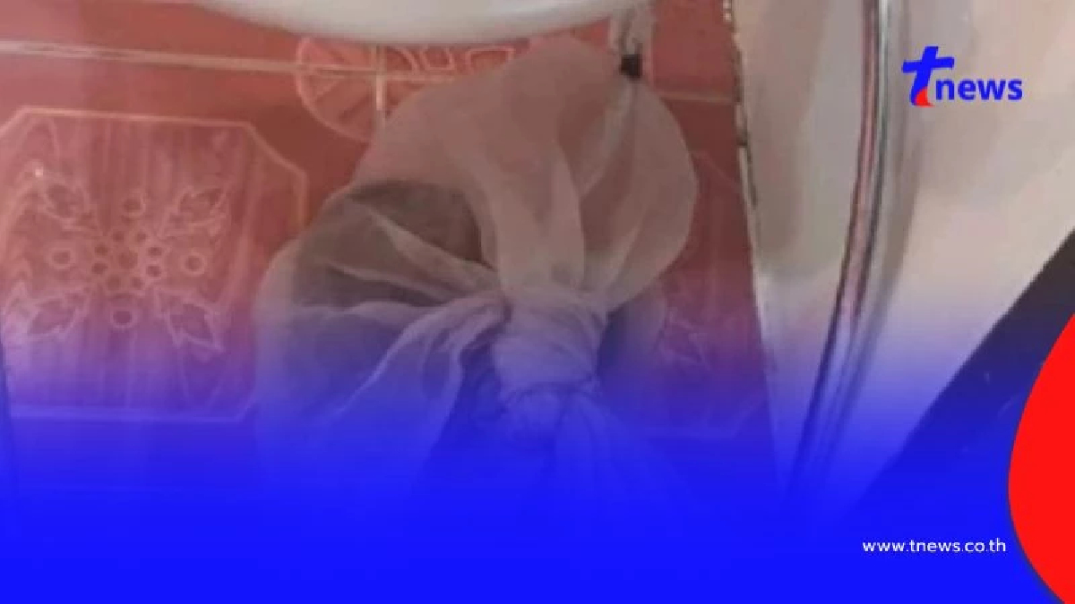 พบศพหนุ่มวัย28 เสียชีวิตปริศนาคาห้องพัก พบงูเห่าอยู่ในถุง