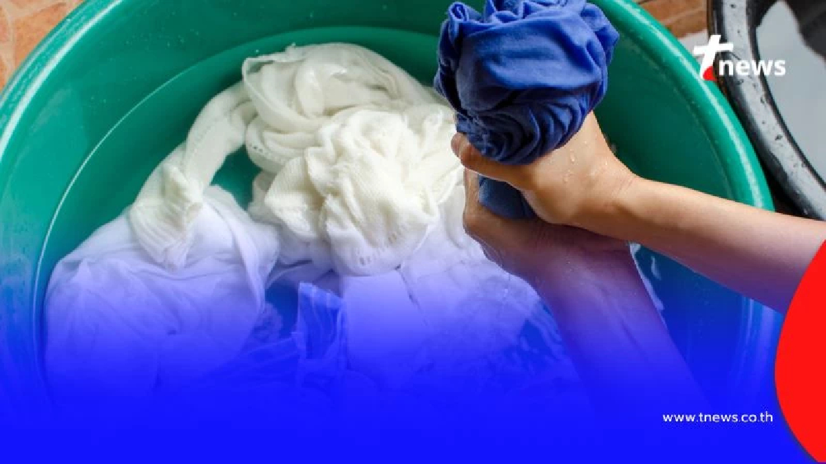 ซักผ้าขาวยังไงให้ไม่หมอง แม่บ้านมือทองแชร์เคล็ดลับที่คุณไม่เคยรู้มาก่อน