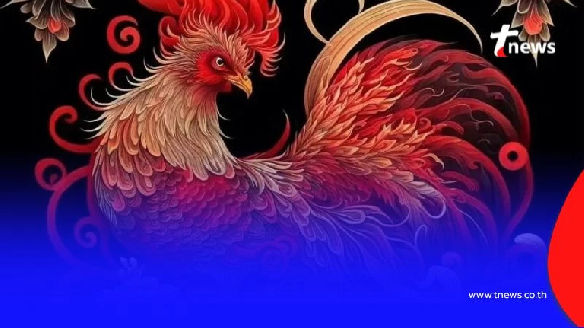 เปิดดวงคน 3 นักษัตร ดวงดีมากหลายเรื่อง มีคำแนะนำให้ด้วย