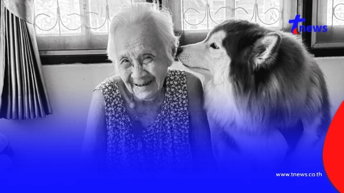 "คุณยาย" เพจลีโอไอ้หนูของยาย เสียชีวิตหลังแอดมิทไม่ถึง 24 ชม.