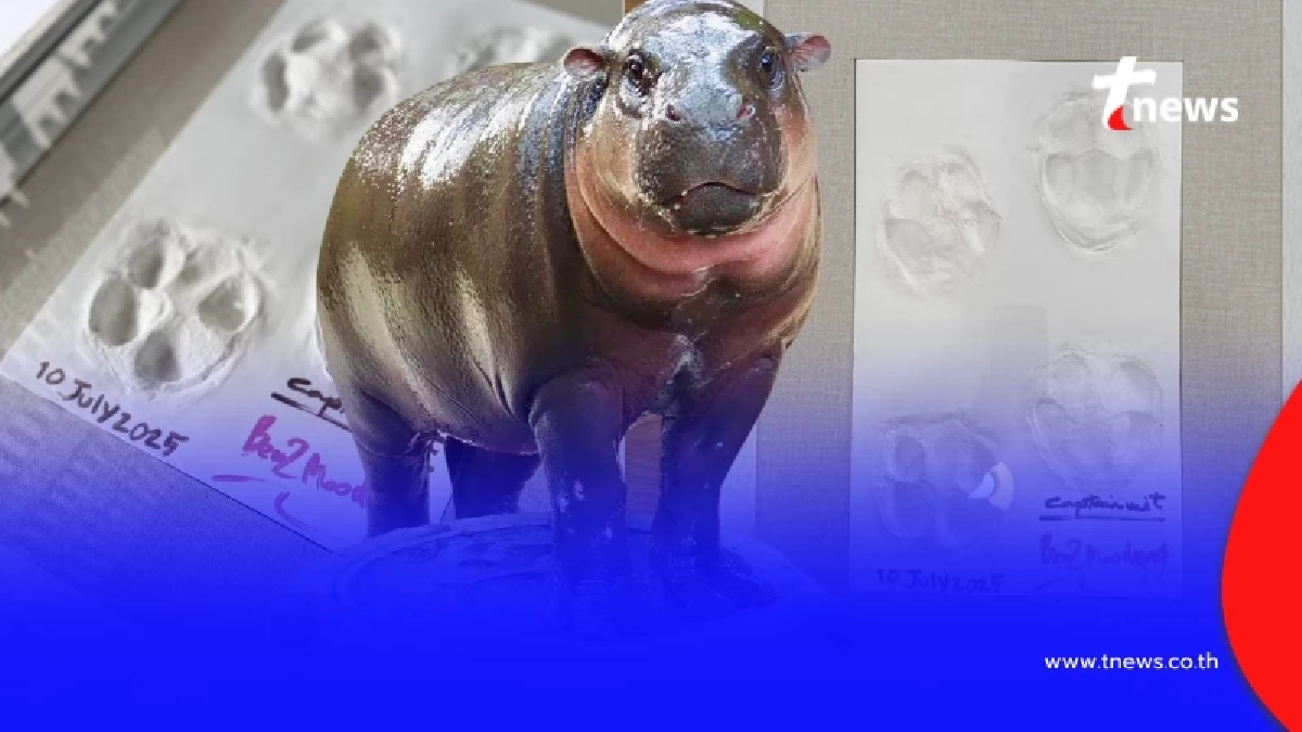 เปิดราคาล่าสุด ประมูล "รอยเท้าหมูเด้ง" บอกเลย ตอนนี้ไปไกลแล้ว