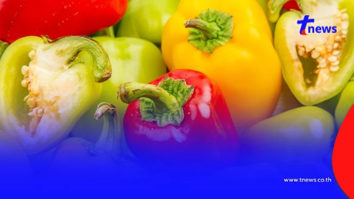 4 อาหารบำรุงไตที่ควรมีติดบ้าน ดูแลสุขภาพไตง่ายๆ ด้วยตัวคุณเอง