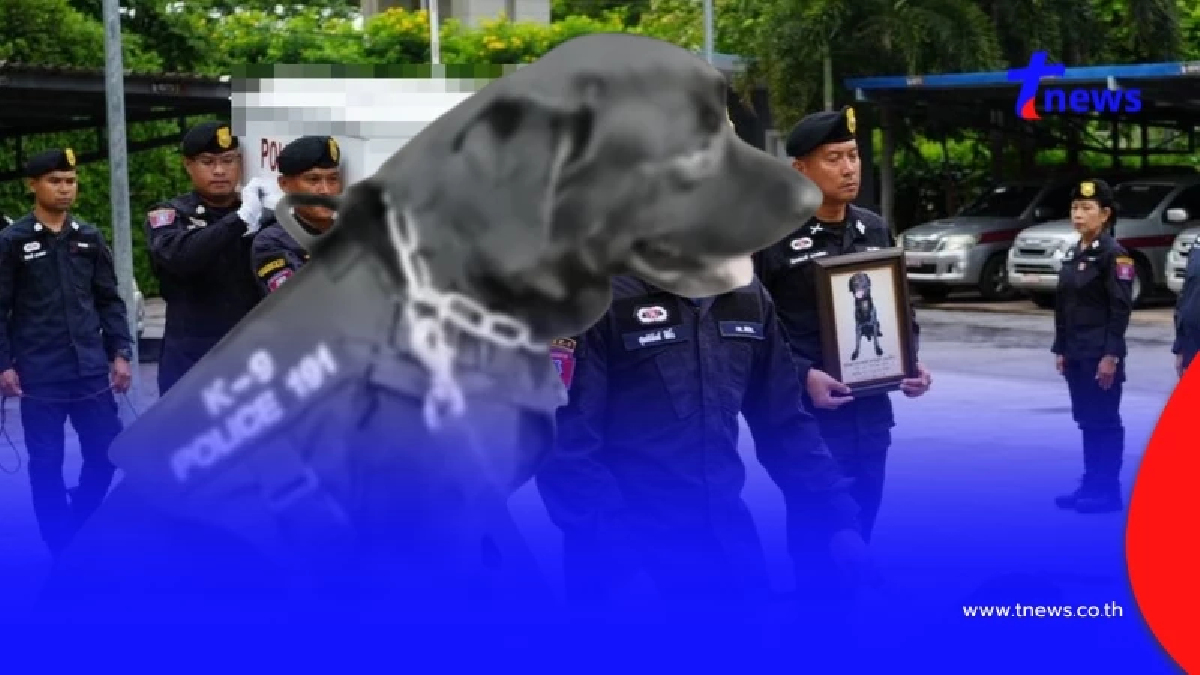 ส่ง สุนัขตำรวจตรีสายฟ้า ครั้งสุดท้าย ไว้อาลัยฮีโร่สี่ขาผู้ภักดี