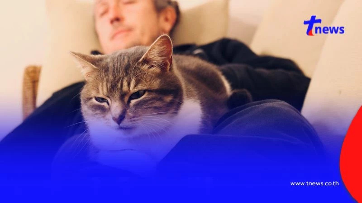 ไขเหตุผลลับ ทำไมแมวชอบนอนทับเราตอนกลางคืน สัญลักษณ์ของความรัก!