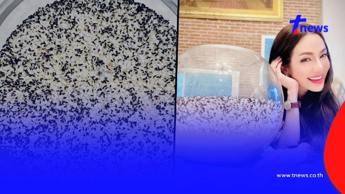 รีบส่อง "อ๋อม สกาวใจ" เปิดเลขน้องกระดิ่งโค้งสุดท้าย เห็นเลขชัด