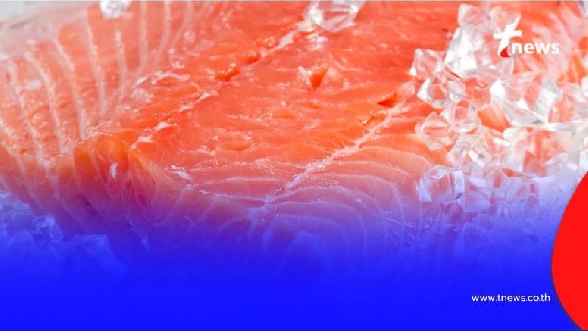 ปลาที่คนมองข้าม มีประโยชน์เกินคาด โปรตีนสูงเทียบเท่าแซลมอน