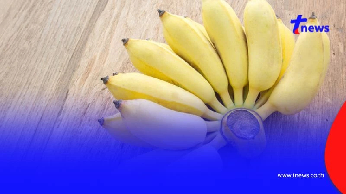 5 ผลไม้ที่คนอายุ 30+ ควรกิน บำรุงร่างกายให้ฟิตเปรี๊ยะ!