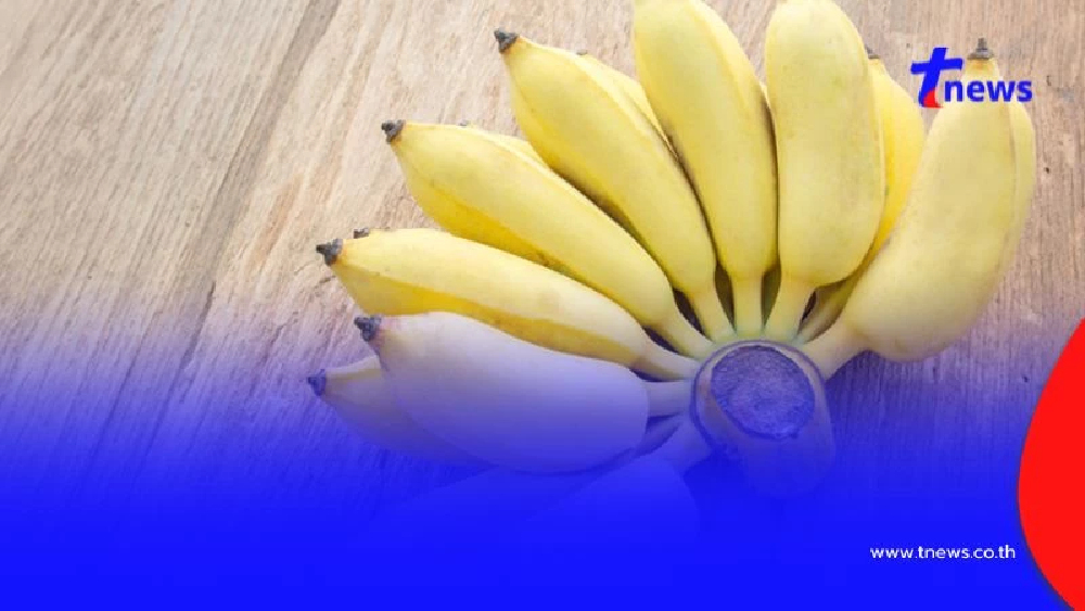 5 ผลไม้ที่คนอายุ 30+ ควรกิน บำรุงร่างกายให้ฟิตเปรี๊ยะ!