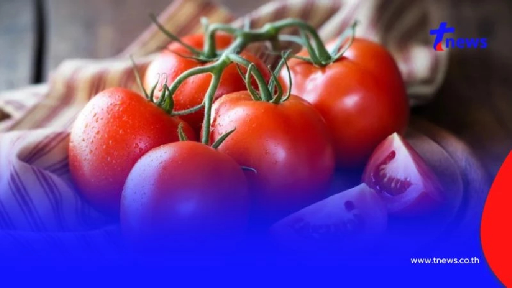 ผัก 4 ชนิดนี้ คนเป็นโรคไตควรหลีกเลี่ยง เสี่ยงพังไตโดยไม่รู้ตัว