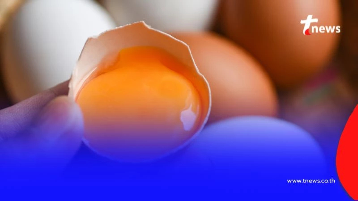 ทำไมไม่ควรกินไข่ไม่สด เปิดผลเสียที่หลายคนมองข้าม มีอะไรบ้าง