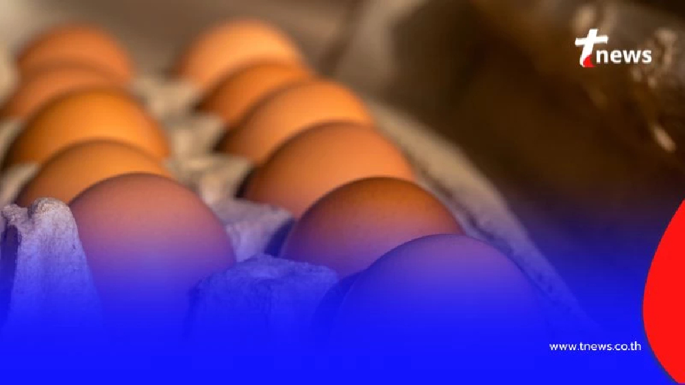 ไข่ต้องห้ามมี 6 ชนิด ที่ไม่ควรนำมากิน เลี่ยงไว้จะดีกว่า