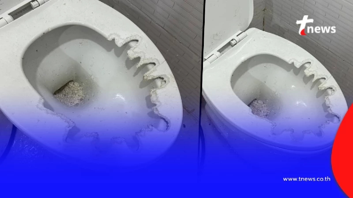 ขนหัวลุก ไม่ได้ใช้ห้องน้ำนาน เปิดมาเจอเต็ม ๆ ก่อนรู้ตัวอะไรทำ