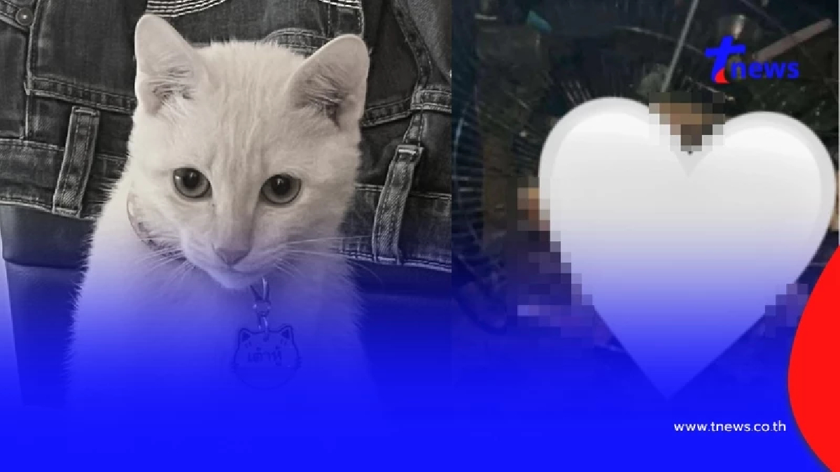 สุดสลด "เต้าหู้" ถูกสุนัขรุมดับ เขมรฉกซากไปกิน รีดเงินเจ้าของ 200