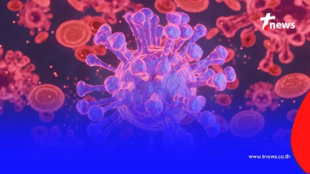 เช็กเลย วัคซีนไวรัสตับอักเสบบี ปี 2568 ราคาเท่าไร ฉีดกี่เข็ม