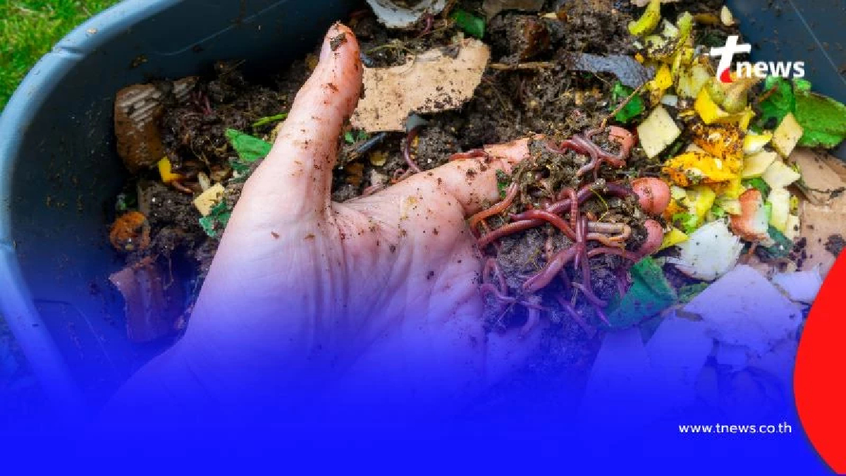 อันตรายใกล้ตัว แค่เดินเท้าเปล่าบนดินก็เสี่ยง พยาธิไชจากสัตว์เลี้ยงที่คุณรัก