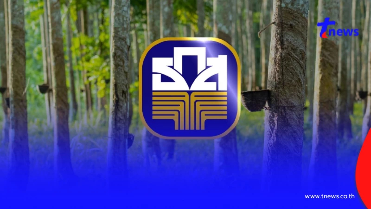 "โฉนดต้นยาง" ขอรับสินเชื่อจาก"สถาบันการเงิน"ได้จริง