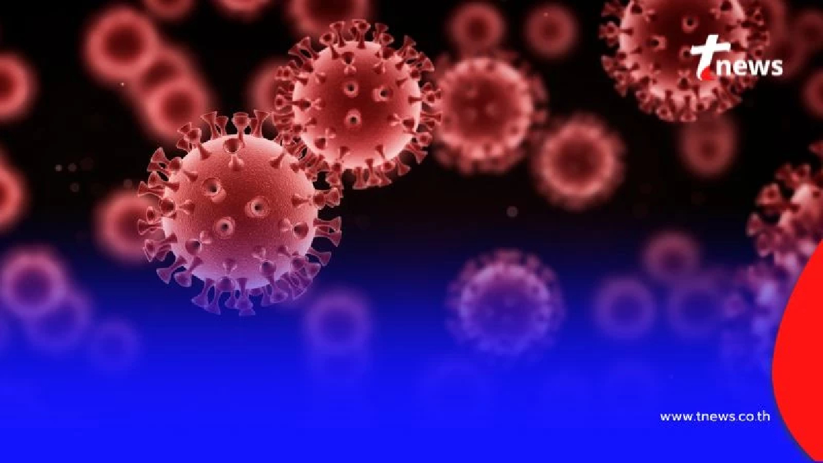 เชื้อ HIV ทำลายเม็ดเลือดขาว หากไม่รักษามีโอกาสลุกลามเป็น 'เอดส์'