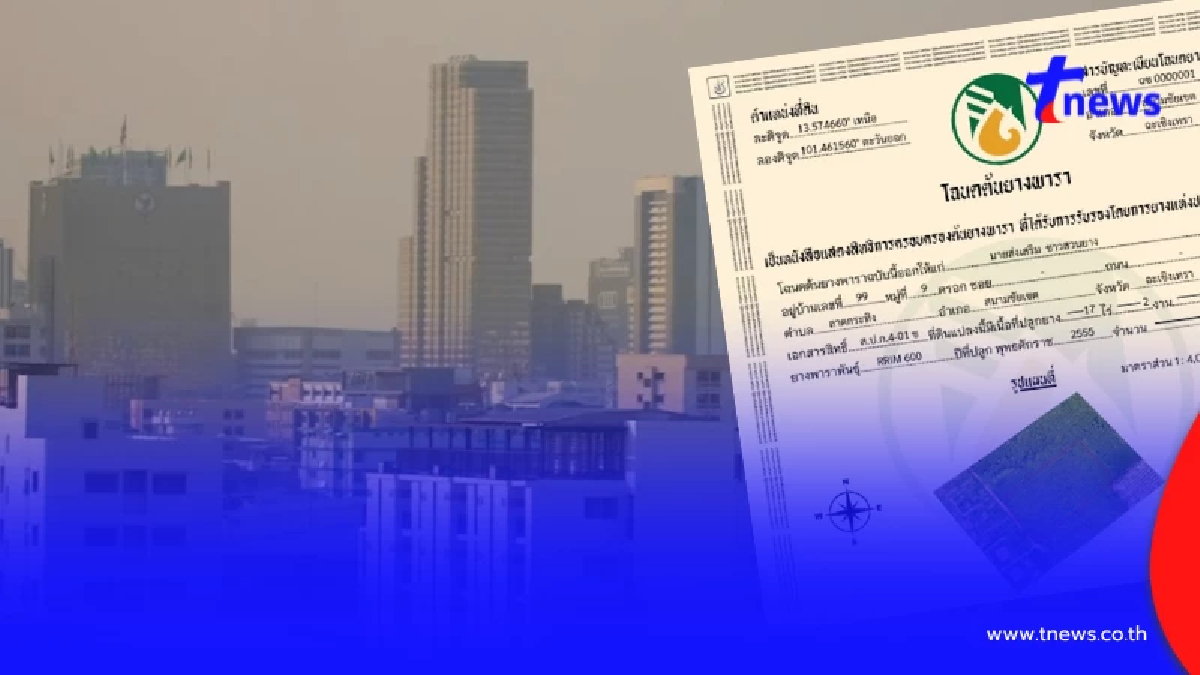 "โฉนดต้นยาง" ช่วยลดปัญหาฝุ่น PM2.5 ภัยคุกคามสุขภาพ