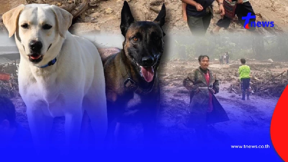 "K9 มาแล้ว" มุ่งหน้าสู่ภารกิจปางอุ๋ง พร้อมลุยทุกอุปสรรค