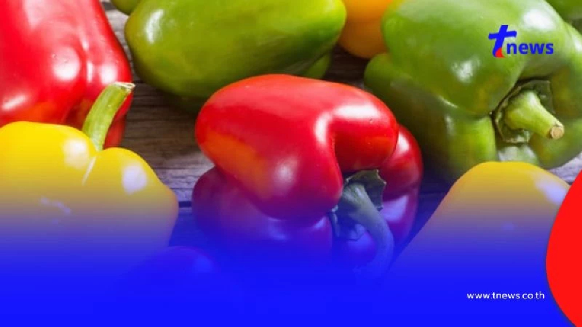 4 ผักดีต่อดวงตา กินบ่อยๆ ตาไม่ล้า บำรุงสายตาด้วยธรรมชาติ