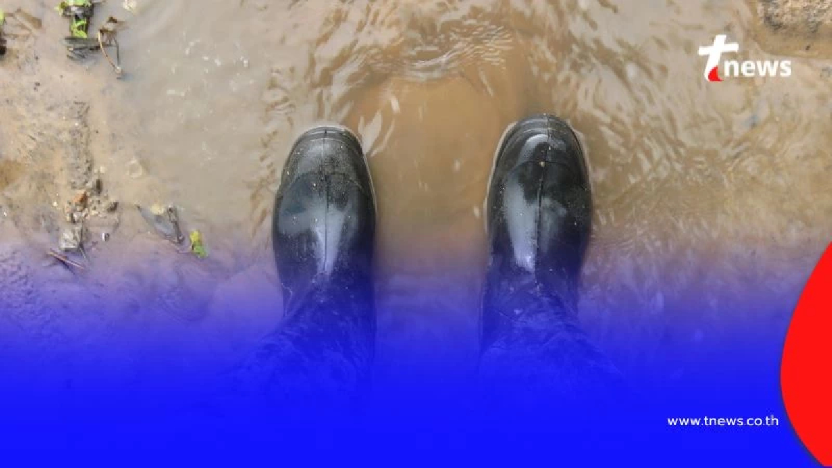 เช็กอาการ ไข้สูง ไอ มีหนอง ระวัง โรคไข้ดิน ในช่วงน้ำท่วม