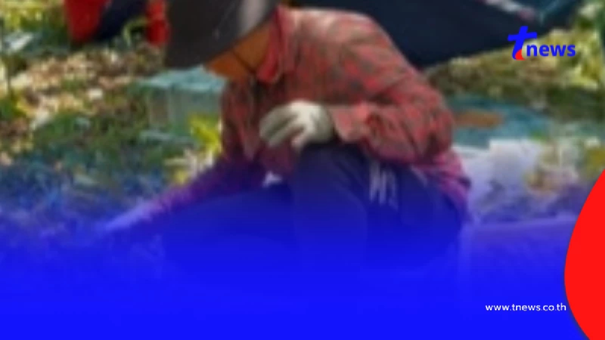 ค่าจ้างไม่ธรรมดา สวนลำไยจันทบุรี รับ 3 หมื่นคน แทนแรงงานกัมพูชา