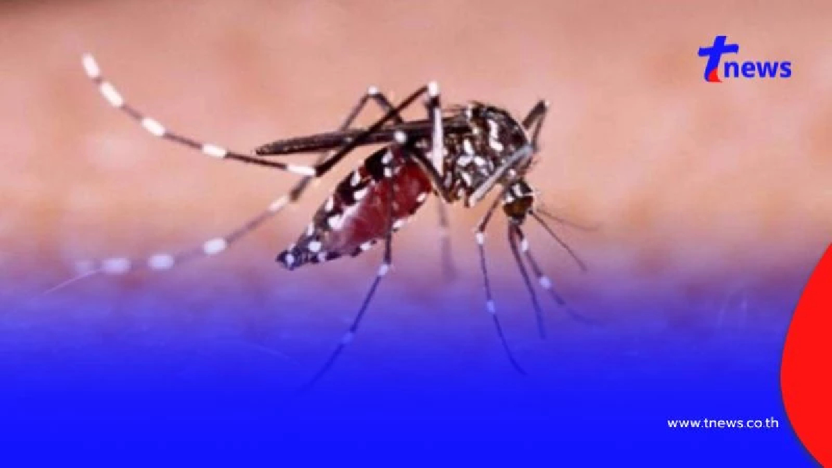 “ไข้ปวดข้อยุงลาย”อย่ามองข้ามโรคอันตรายที่มากับยุงตัวเล็ก