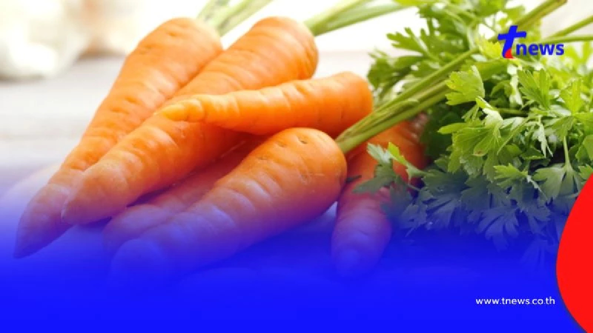 4 อาหารใกล้ตัว บำรุงสายตา กินง่ายได้ประโยชน์ที่คุณอาจมองข้าม