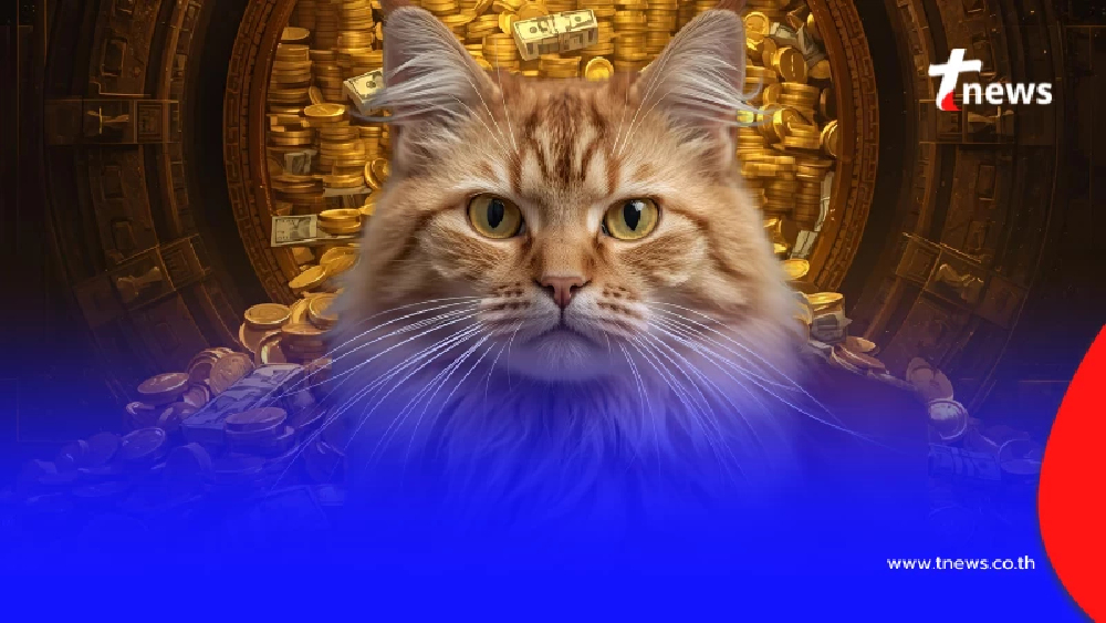 "6ราศี" ดวง แมว 9 ชีวิต จากนี้ เงินจะไหลมาทั้งแปดทิศ เทมาดั่งสายฝน