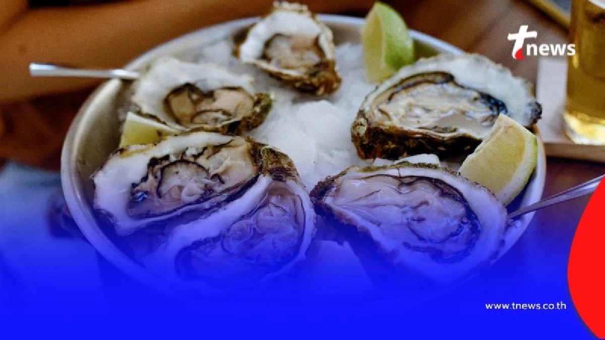 ระวัง "วิบริโอ" แบคทีเรียร้ายใน "หอยนางรมดิบ" ที่คร่าชีวิตคนได้ในไม่กี่ชั่วโมง