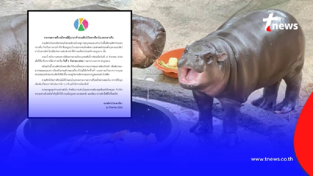 คืบหน้าล่าสุด คนบุกเข้า "สวนสัตว์เปิดเขาเขียว" กลางดึก