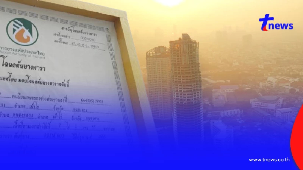 "โฉนดต้นยาง"สร้างรายได้สู้โลกร้อน ด้วยคาร์บอนเครดิต