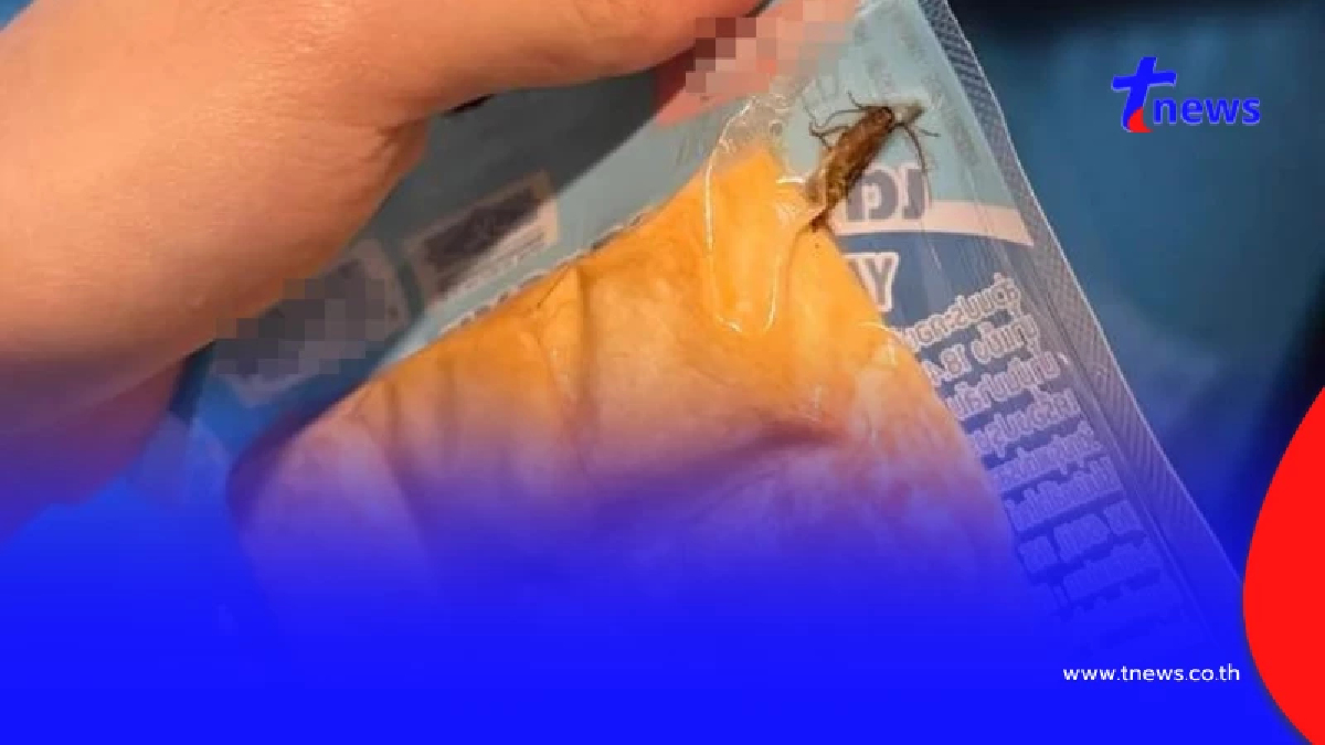 สาวอ้วกพุ่ง อวสาน "เต้าหู้ปลา" เจอของแถมสุดสยอง ค่าชดเชยยิ่งพีค