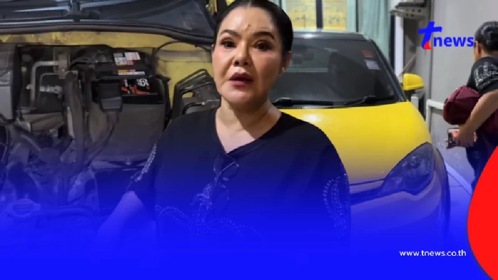 เปิดทะเบียน "ฮาย อาภาพร" แมวคลอดลูกในรถ เห็นแล้วต้องซูมดีๆ