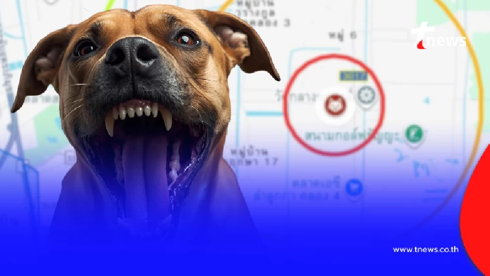 เตือนล่าสุด พื้นที่ดังนี้ "อย่าสัมผัสสัตว์จร" โดยเด็ดขาด