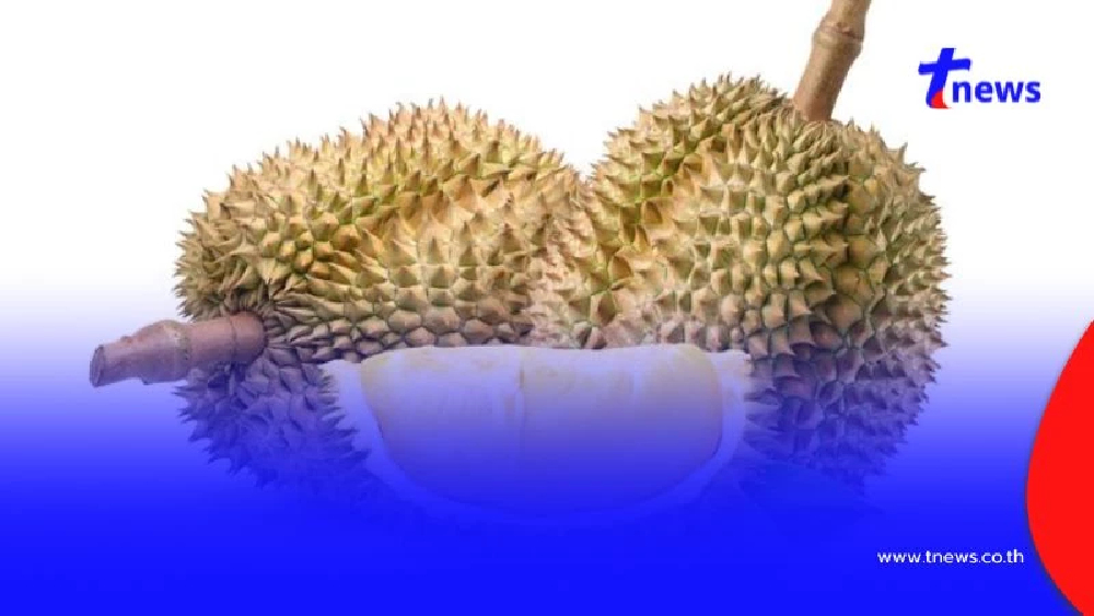 ระวัง 4 ผลไม้ใกล้ตัว กินเยอะเกินไป เสี่ยง“นิ่วในไต” ถามหา