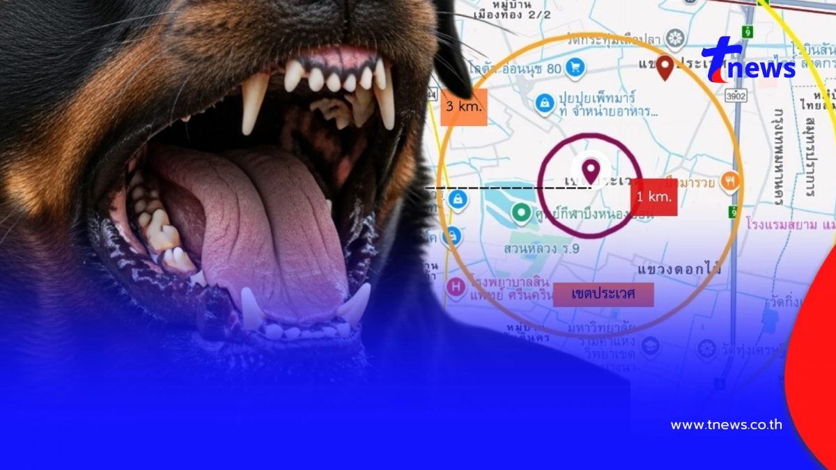 เตือน 6 เขต กทม.- บางพลี สมุทรปราการ เฝ้าระวังโรคพิษสุนัขบ้า ระบาด