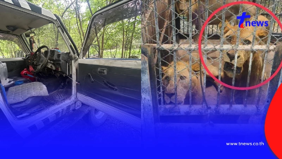 ออกแล้ว ผลตรวจสอบมาตรฐานความปลอดภัย "สวนสัตว์ซาฟารีเวิลด์"