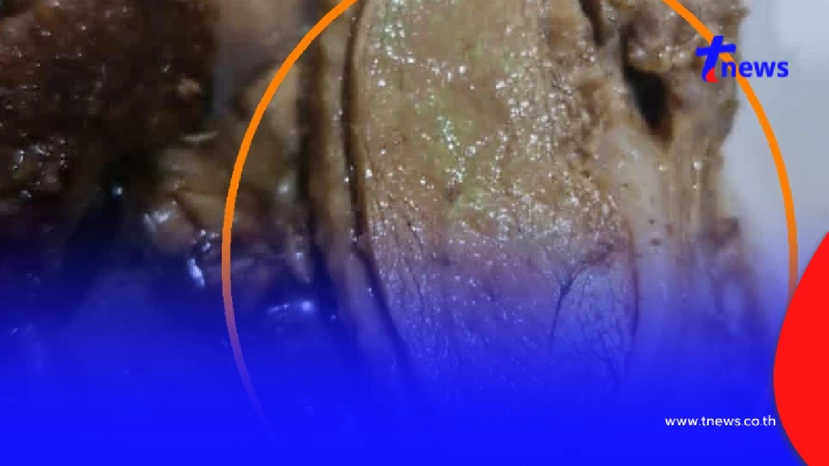 เฉลยแล้ว สาเหตุ หมูย่าง-เป็ดพะโล้ สีแปลกไป ที่แท้หลายคนเข้าใจผิด